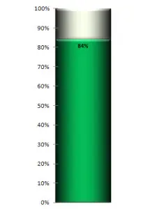 Basic Thermometer - Green