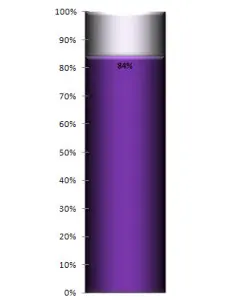 Basic Thermometer - Purple