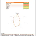 Personal Assessment Template